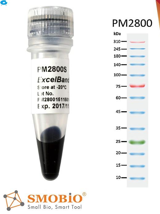 PM2810-250μl×2/  3-color Extra Range Protein Marker