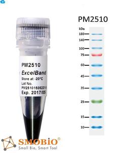 PM2510/250μl×2/  Enhanced 3-color Regular Range Protein Marker(蛋白MARKER)
