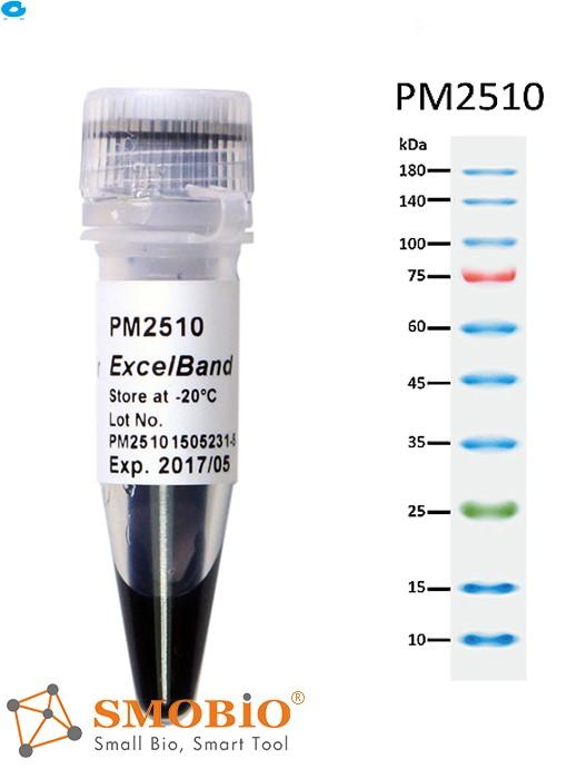 PM2511-250μl×10/  Enhanced 3-color Regular Range Protein Marker