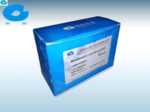 KMS01/Bradford蛋白浓度测定试剂盒