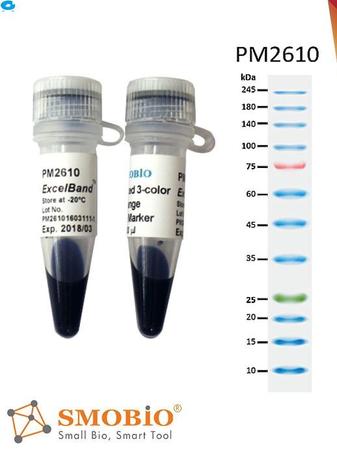 PM2610-250μl×2/  Enhanced 3-color High Range Protein Marker(蛋白MARKER)