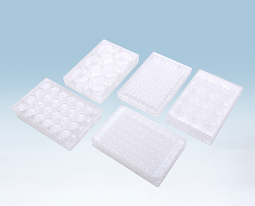 803024/ 24孔细胞培养板,等离子处理